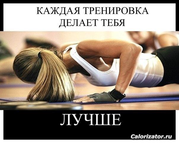 -ePQdoWhqT4