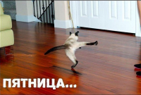 Пятница!!!