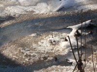 ноябрь как апрель