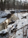речка в лесу