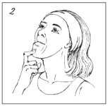челюсти2