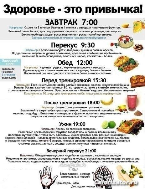 Привычки питания