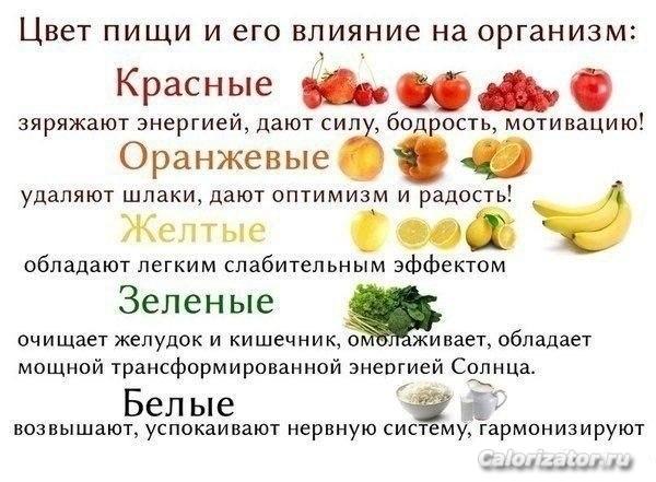 Цвет пищи и его влияние на организм