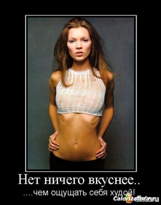 710537 62432-550x500