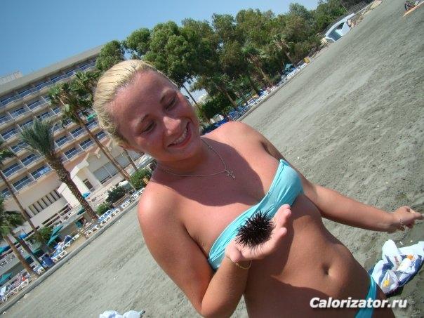 лето 2008