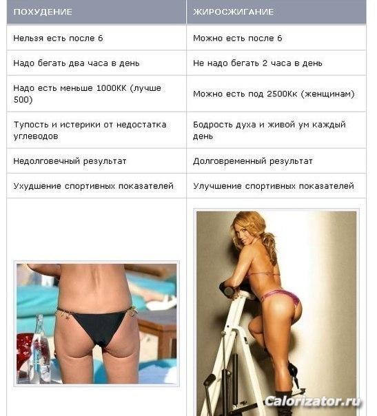 похудение и жиросжигание