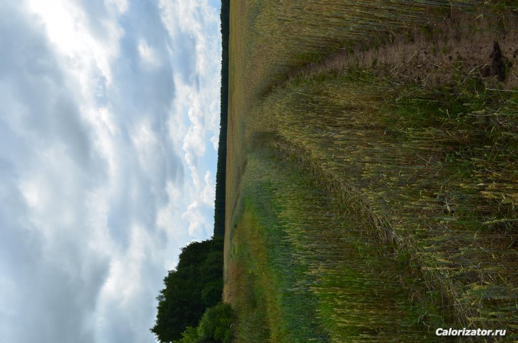 DSC 0878