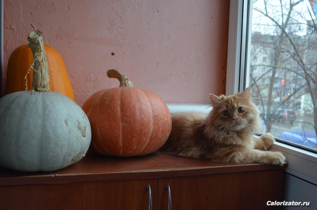 СтороЖ!!!!