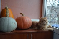 СтороЖ!!!!