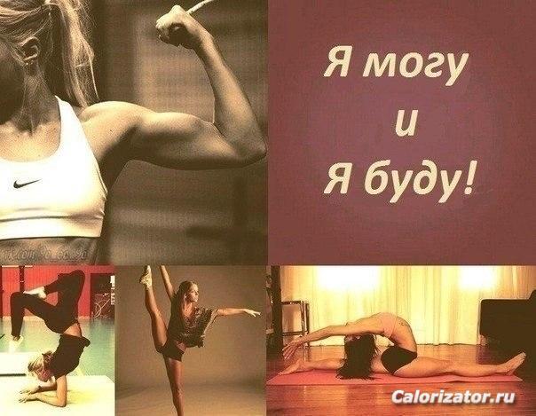 fTjQVYSbx3Q