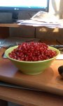 IMAG0285