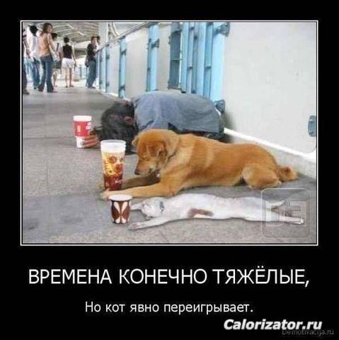 ))))))))))))))