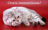зщшгн