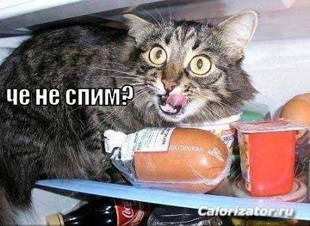 зщщзд