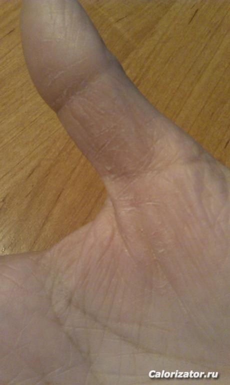 IMAG0204