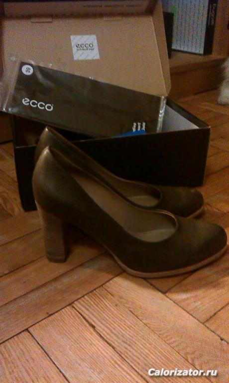 IMAG0262