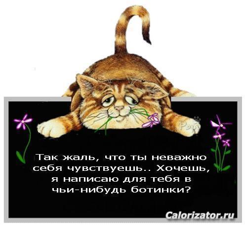 .юбльот