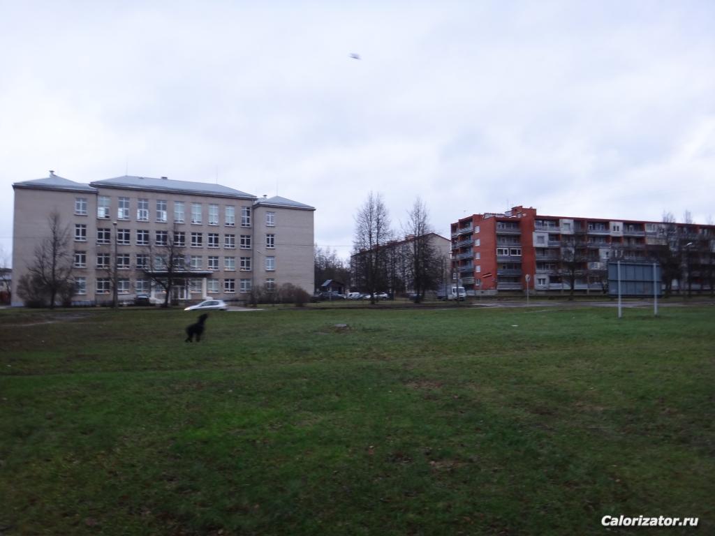 DSC02468