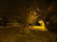 DSC02491