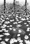 escher