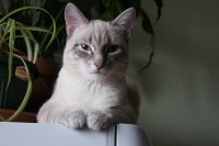 DSC00031