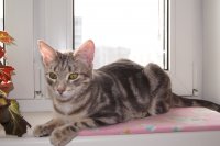 DSC00192