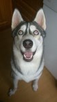 DSC 0005