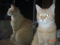 CIMG0095