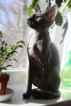 IMG 0320