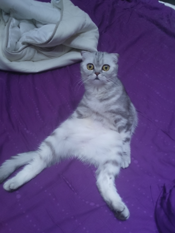 DSC 0054