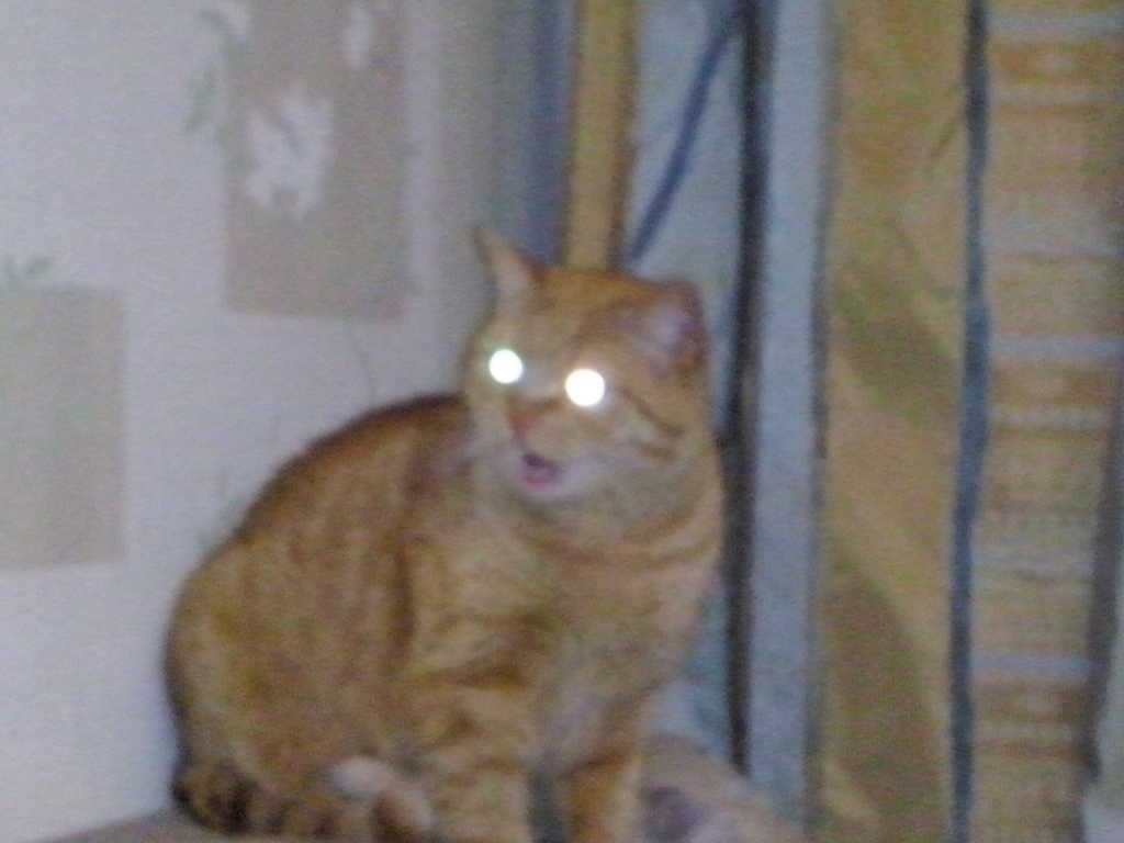 CAM00195