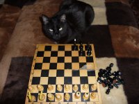 ваш ход