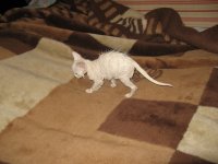 IMG 5639