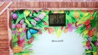 DSC 0691[1]