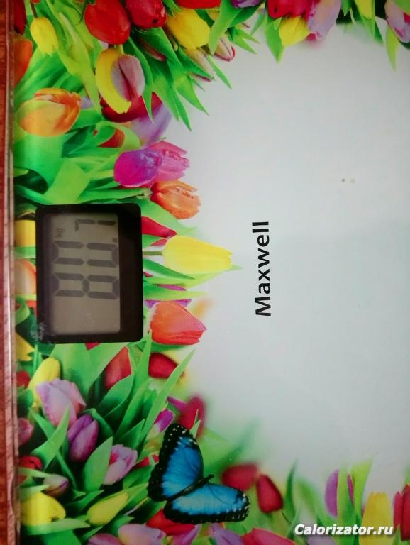 DSC 0426