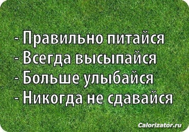 Изображение 731