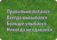 Изображение 731