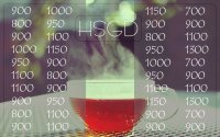 Healthy Skinny Girl Diet (HSGD)