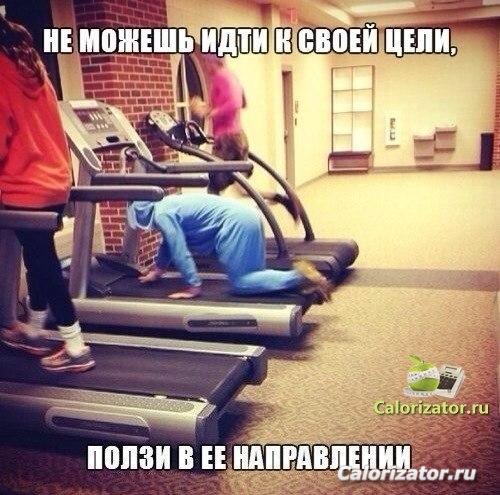 цель