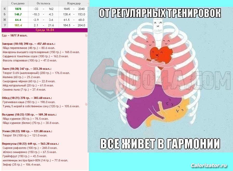 16.04.14