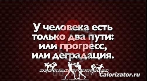 vM0kHnEUL 8