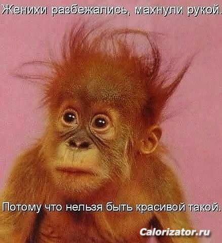 QGqvRGuv1Fo