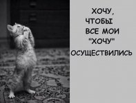 e84TRku3lUo