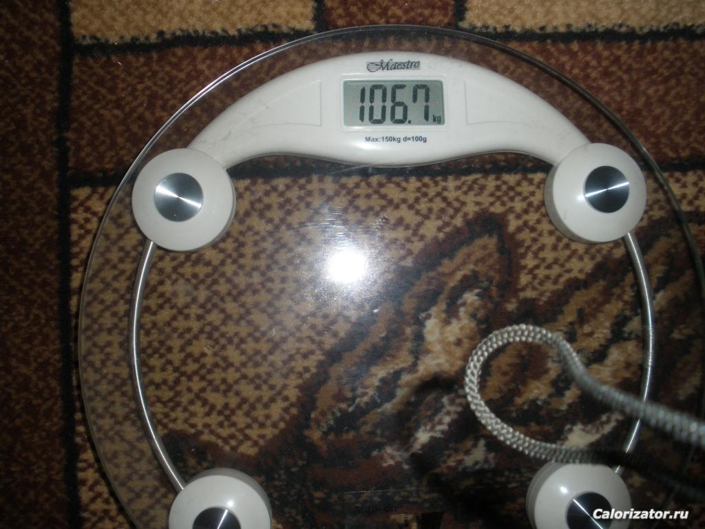вес1206