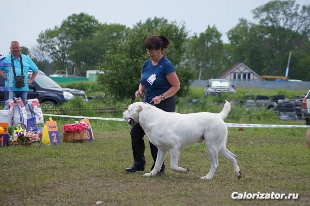 DSC08893 (640x425)