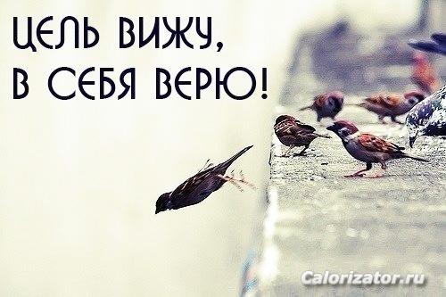 девиз