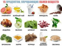 Обмен веществ