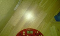 IMAG0667