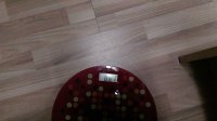 IMAG0251