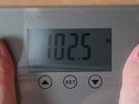 2014-08-08 10.16.29